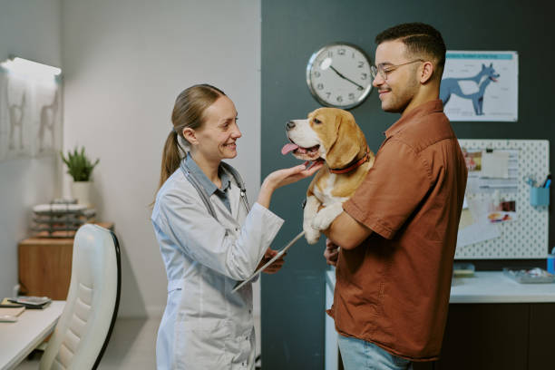 Para ficar por dentro de todas as novidades do mundo veterinário leia nossos outros artigos em: Digivets Quer uma curadoria de conteúdo no seu email? Assine nossa News no LinkedIn Newsletter Digivets
