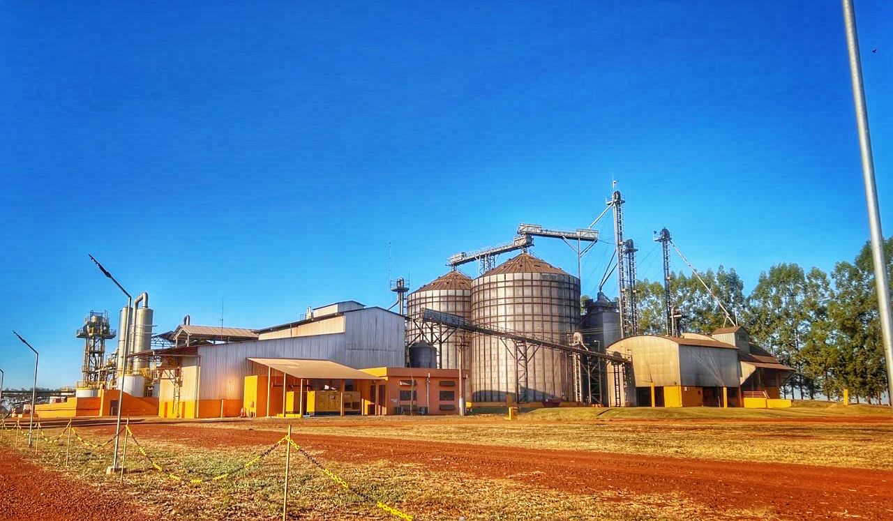 Rio Pardo reforça área técnica para expandir mercado de proteína de soja na nutrição animal