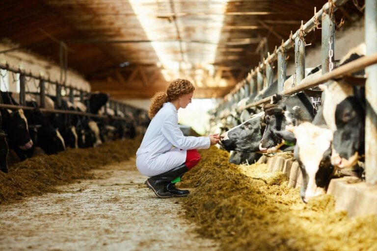 MSD Saúde Animal destaca a interconexão entre o bem-estar animal e a saúde global