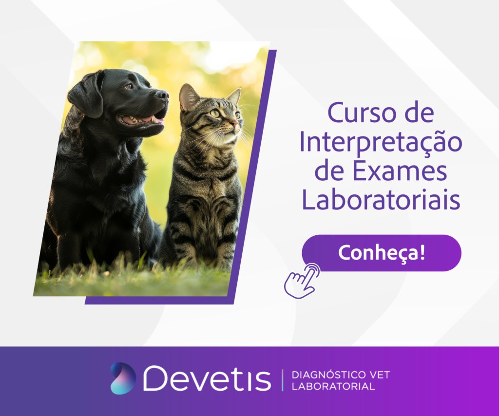 Capacitação em Patologia Clínica Veterinária é tema de 3 cursos Devetis, com aulas EAD ao vivo e presenciais para veterinários e estudantes.