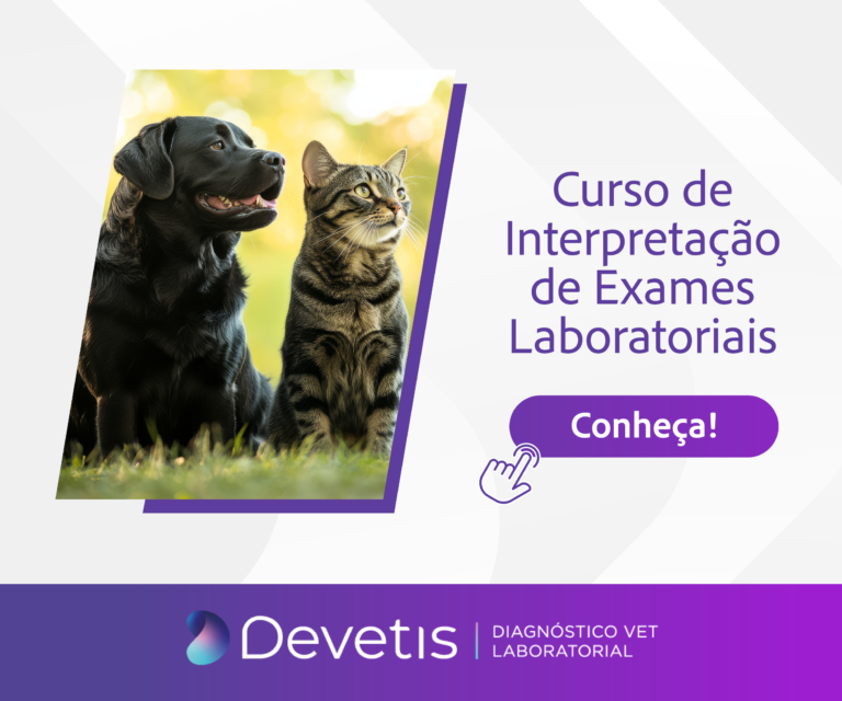 Capacitação em Patologia Clínica Veterinária é tema de 3 cursos Devetis, com aulas EAD ao vivo e presenciais para veterinários e estudantes.