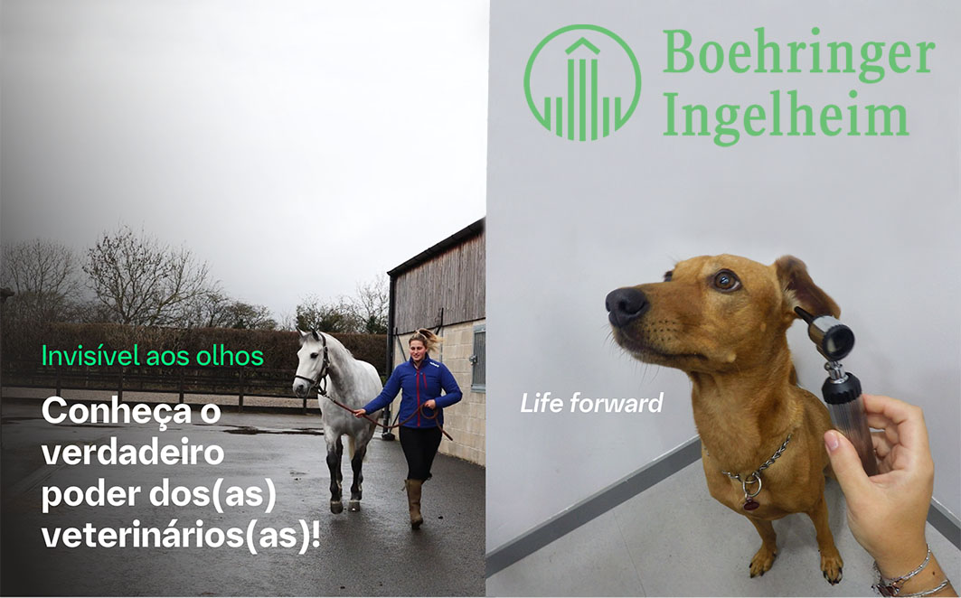 Boehringer Ingelheim valoriza o papel do médico veterinário em nova edição da campanha Going Beyond