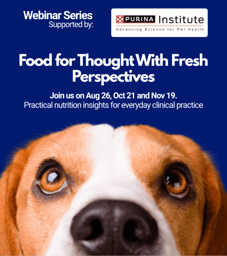 Food for Thought With Fresh Perspectives 2026
