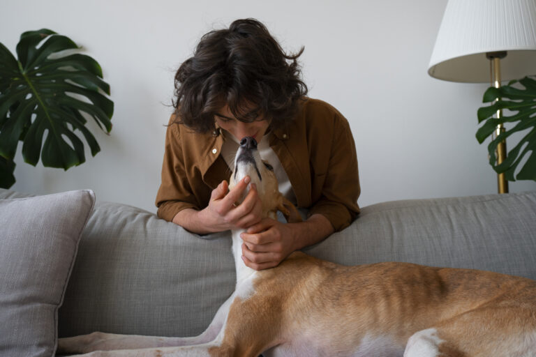 Ansiedade canina: sinais silenciosos afetam 8 em cada 10 cães