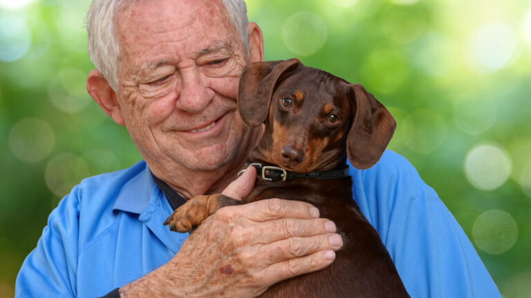 Benefícios transformadores: como animais de estimação impulsionam a saúde e o bem-estar de idosos 