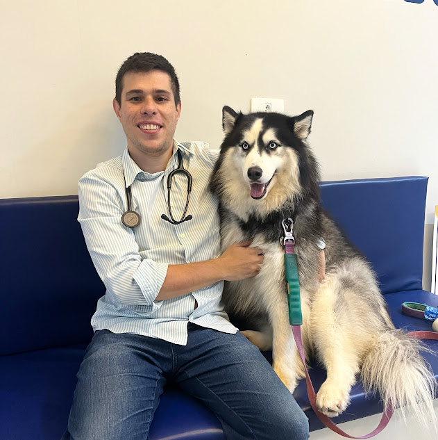 Da emergência a adoção: veterinário narra casos reais e retrata a complexidade da relação entre humanos e pets