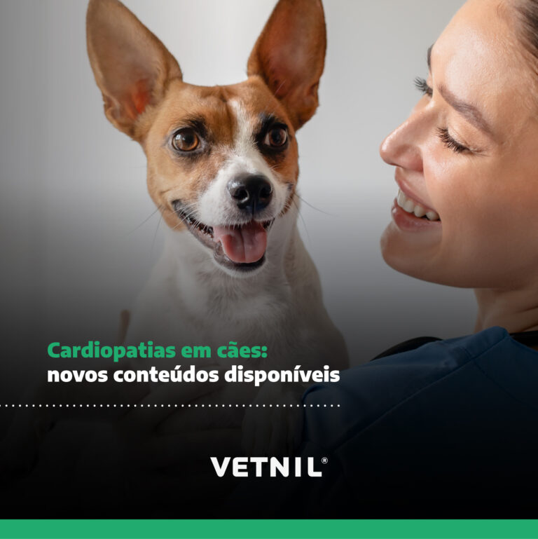 Vetnil amplia plataforma de conteúdo técnico com novos materiais sobre cardiopatias em cães