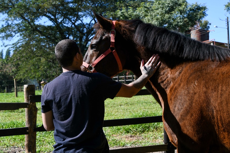 Vidas que não são descartáveis: animais resgatados ajudam jovens a reconstruírem vínculos e confiança 