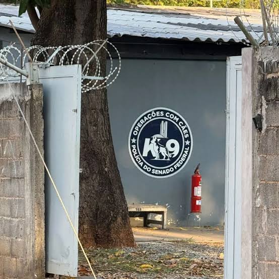 Riscos ocupacionais fazem parte da rotina de médicos-veterinários e reforçam debate sobre proteção profissional