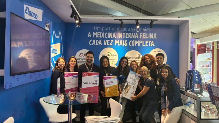 Longevidade dos gatos impulsiona mercado pet e traz tratamentos inovadores para doenças crônicas de felinos