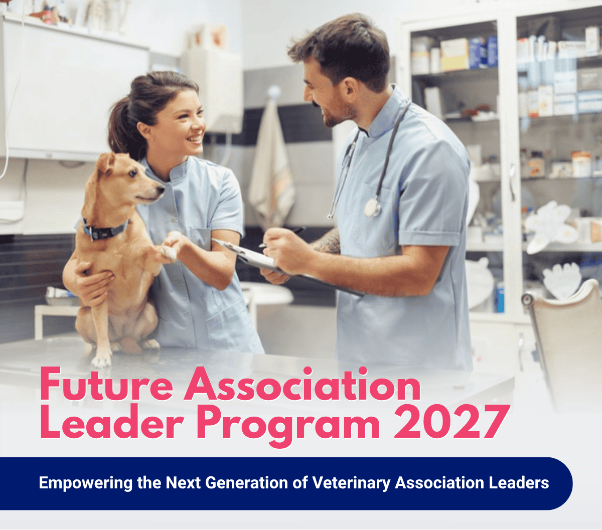 Programa WSAVA Future Association Leader